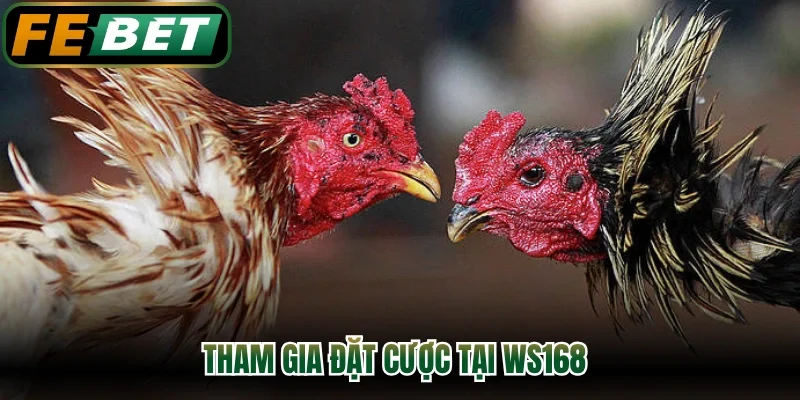 Tham gia đặt cược tại WS168