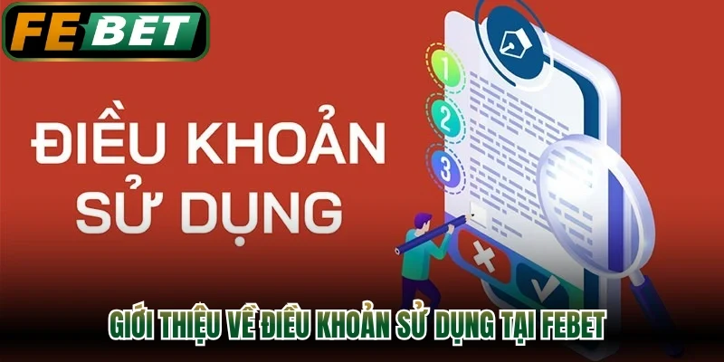 Giới thiệu về điều khoản sử dụng tại FEBET