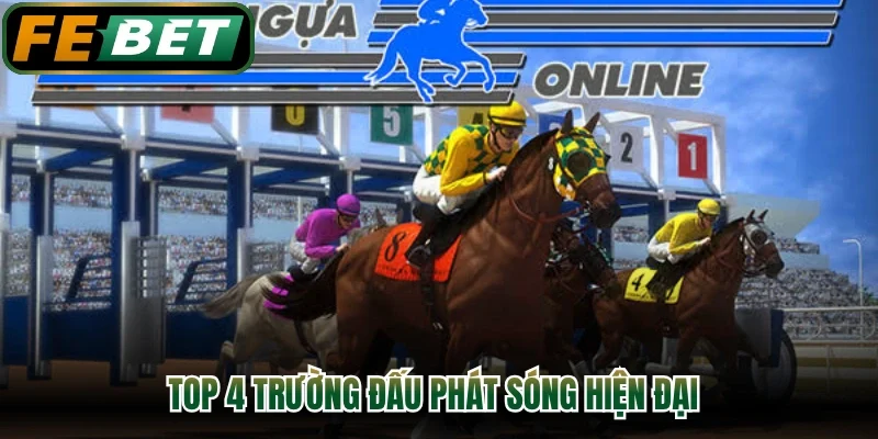 TOP 4 trường đấu phát sóng hiện đại